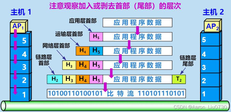 什么是网络信息的层次分类
