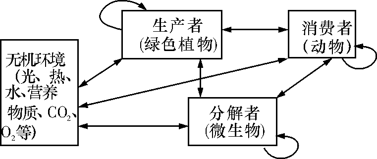 bwin·必赢：如何构建健康的网络信息生态