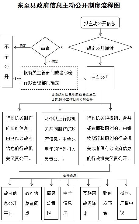 政府透明度提升的网络信息反馈机制