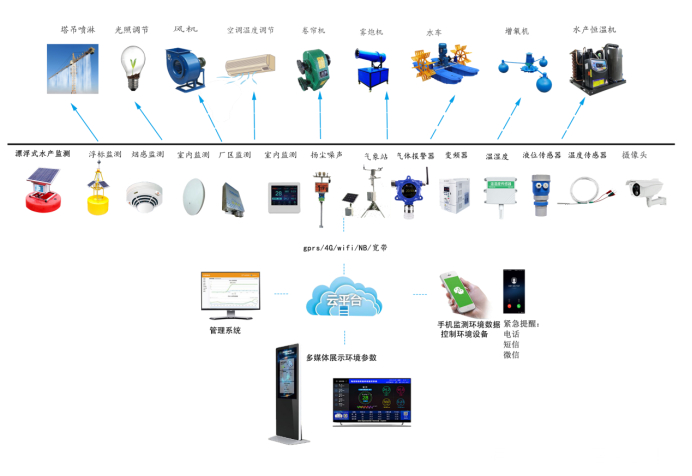 设计实时反馈系统的关键要素
